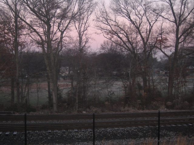 Picture 032