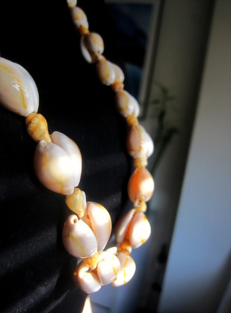 closeup of a necklace made of shells