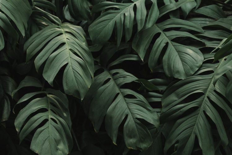 Weekend Reads #71 1 image from rawpixel id 577474 jpeg