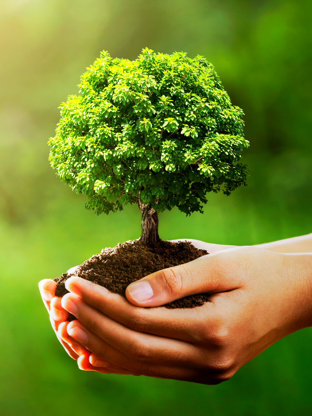 Eartth Day Tree
