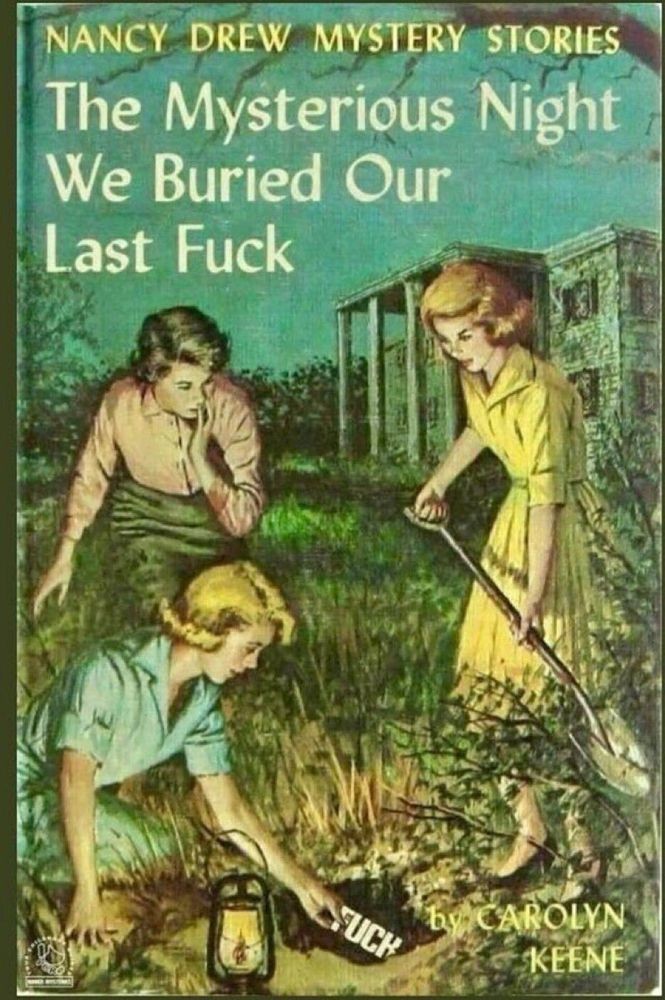 the mysterious night we buried our last f*ck nancy drew parody book cover